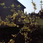بيت للعطل _ Sonnenschein
