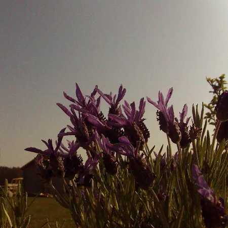 _ Sonnenschein Feriehus